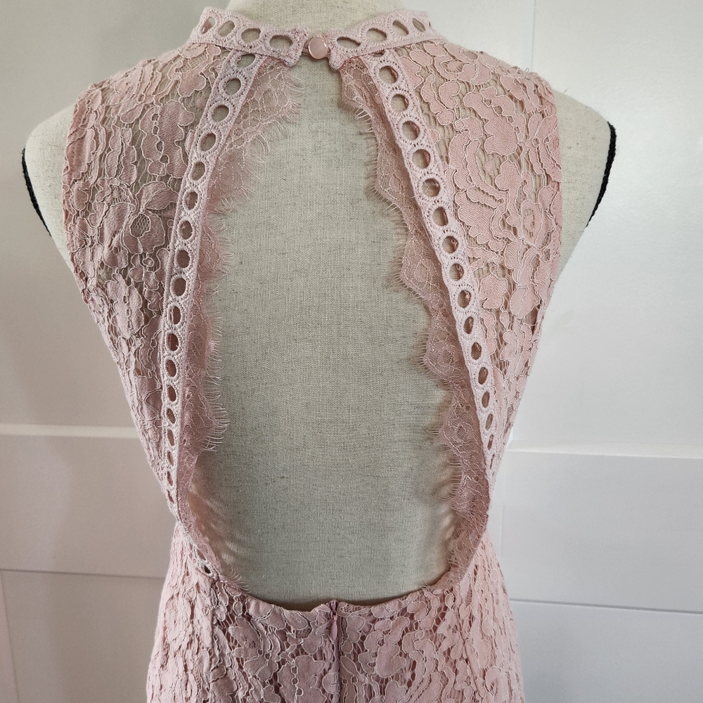 🍉 Main Strip Pink Lace Dress Size Large - Picture 5 of 6